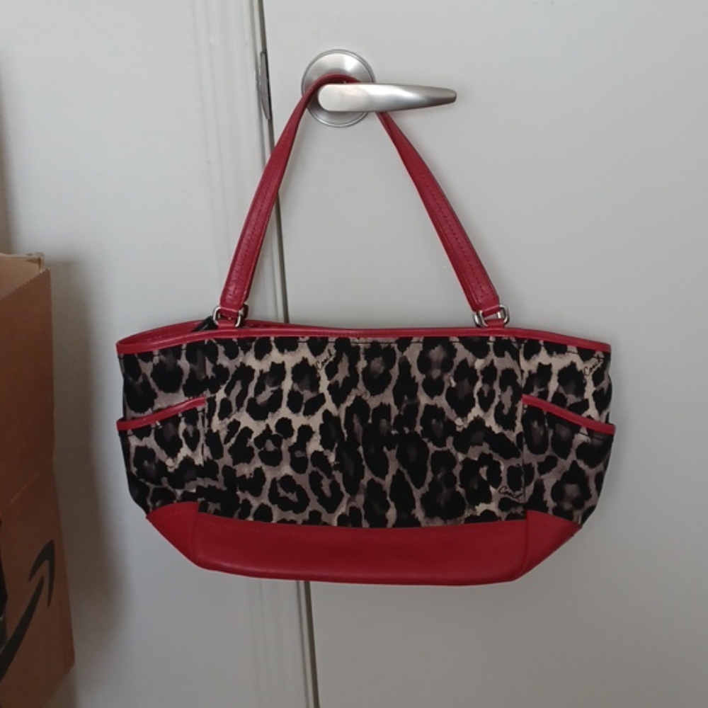 an coach bag